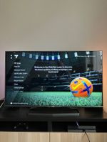 Philips TV 47" + Samsung Lautsprecher / Speakers Set