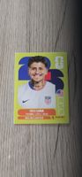 Fifa World Cup Panini USA 14