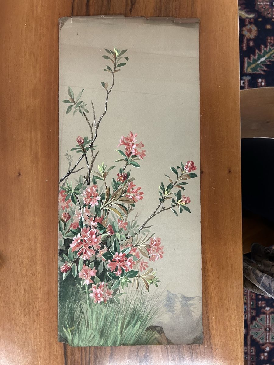 Posters & Illustrations: Blumen Bilder von B. Gender – D'occasion à Zürich par BashasBrockenhaus 8