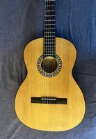 Gitarre - Modell Pro Arte GC-125 4/4
