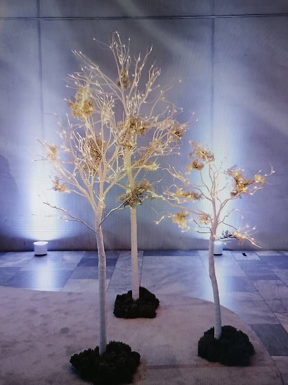 Tutte le decorazioni: Dekorative weihnachtsbäume als Trio – Usato da Zürich venduto da inf_7x5l