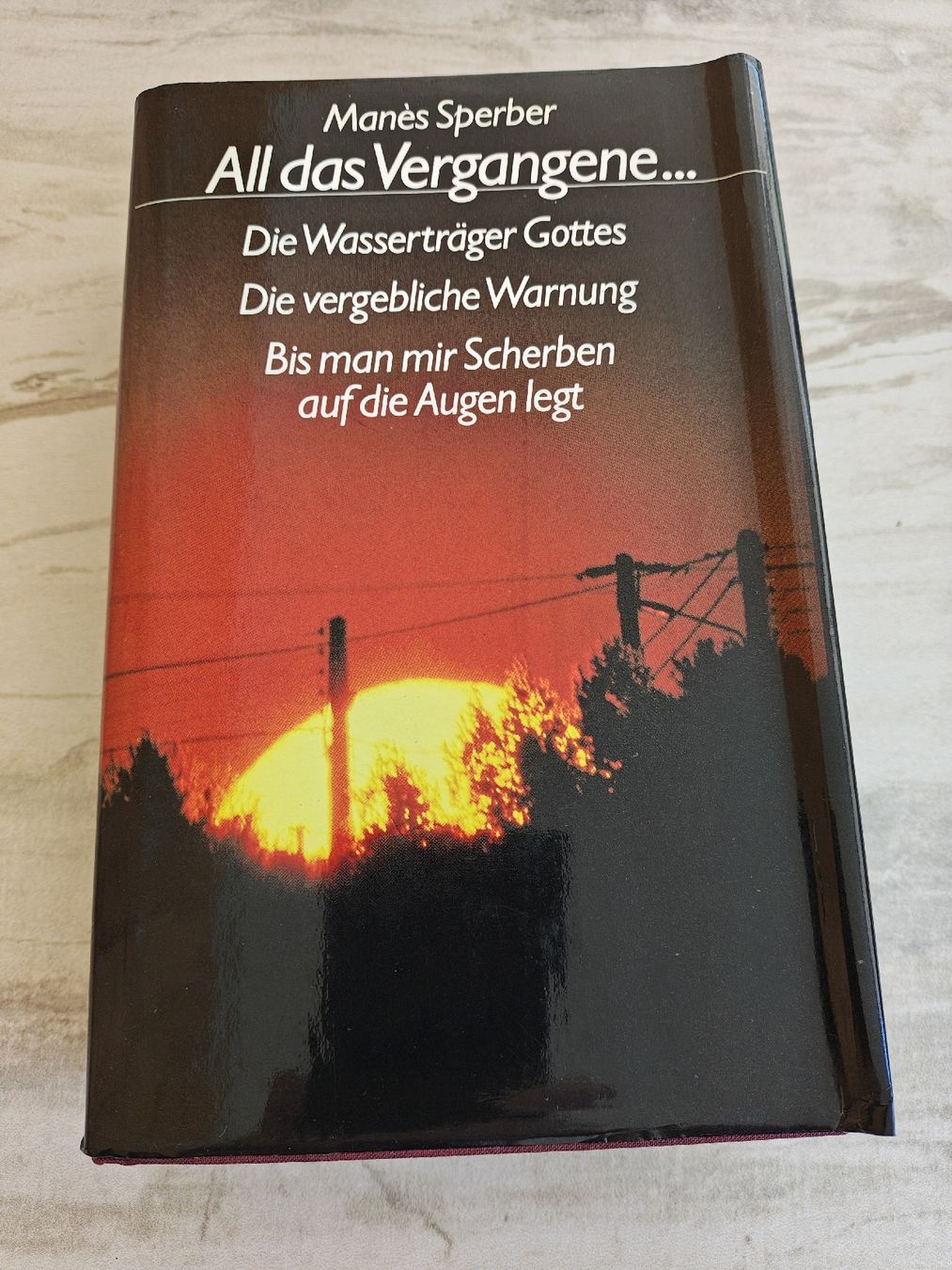 Libri: Manès Sperber, All das Vergangene – Usato da Schwyz venduto da Hollywood70