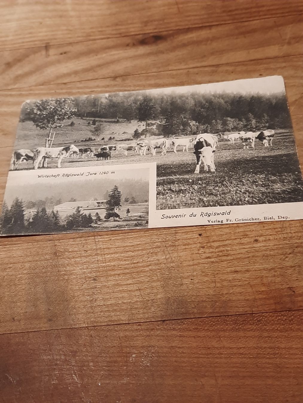 Cartoline postali: antike, rare Karte "Rägiswald" – Usato da Busswil BE venduto da balu37 4