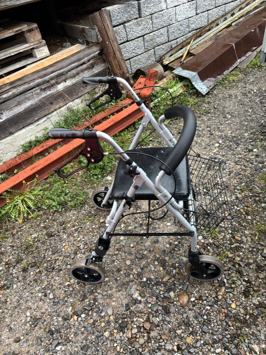 Ausili per la deambulazione: Rollator Gehwagen mit Sitzfläche – Usato da Ernetschwil venduto da nic_8p8p 1