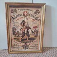 Bild Eidgenössisches Schwing- und Älplerfest