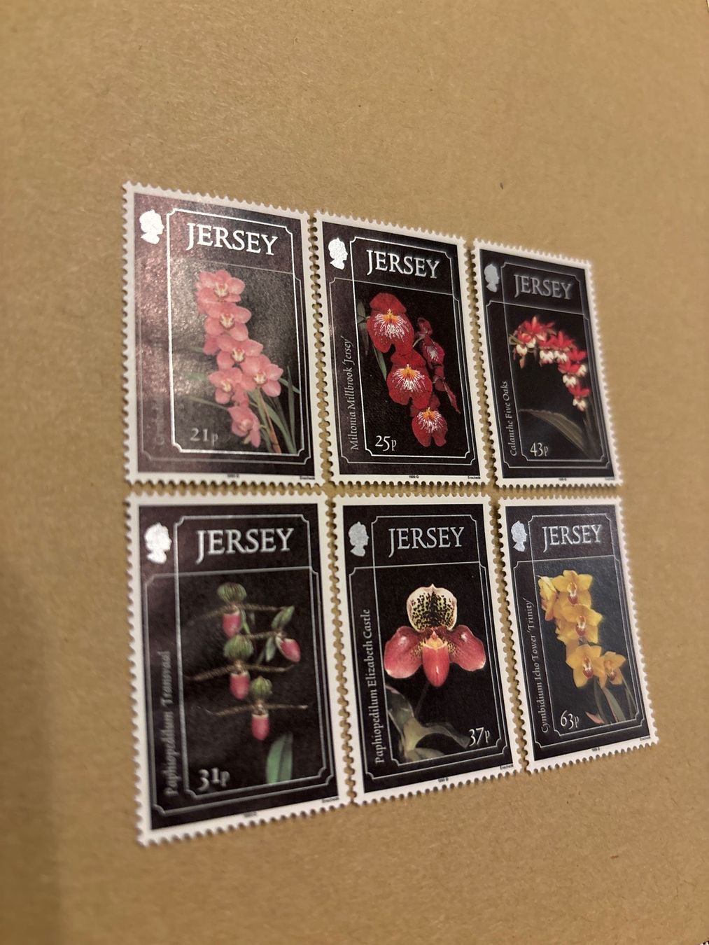 Tutti i francobolli: 6 Jersey Orchideen Briefmarken, 1990er – Nuovo (secondo la descrizione) da Zürich venduto da engebrunau