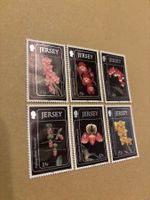 6 Jersey Orchideen Briefmarken, 1990er