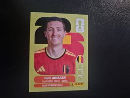 Panini WM 26 BEL 14
