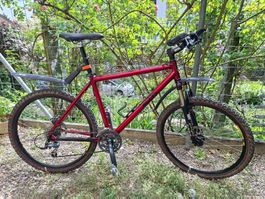 KOBA MTB rot zuverlässiges Mountainbike