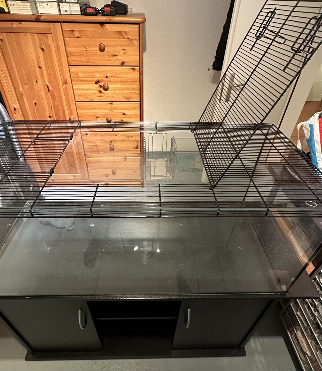Terrariums: Terrarium inkl. Aquariummöbel – D'occasion à Lutzenberg par CS65 4