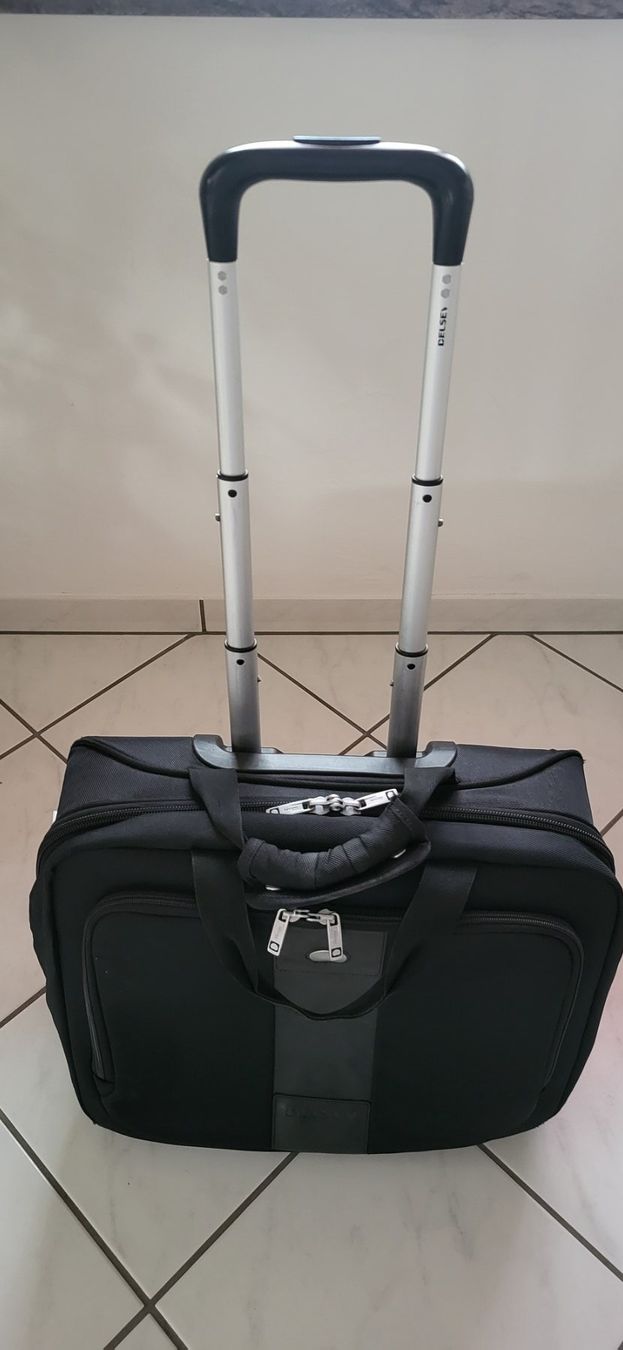 Altro in Aeronautica: Business-Trolley der Marke Delsey – Usato da Kleindöttingen venduto da Mcyaya007