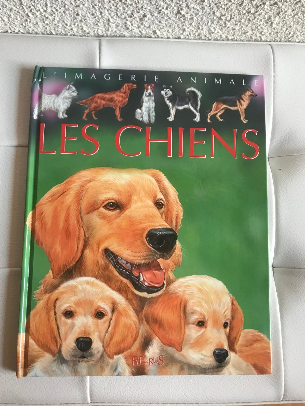 Libri: Livre – Usato da Gorgier venduto da chahn