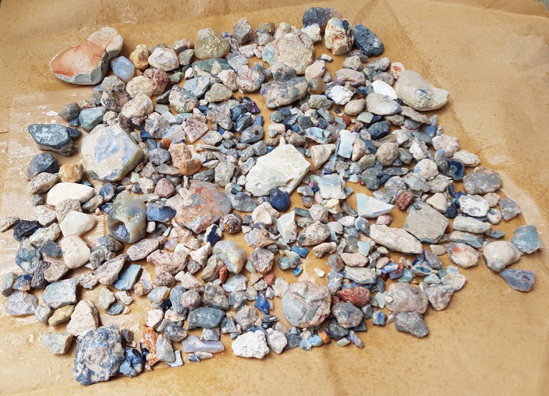 Pietre preziose: Schwarze Opal aus Australia – Nuovo e nell'imballaggio originale da zuerich venduto da Jewlsdesign