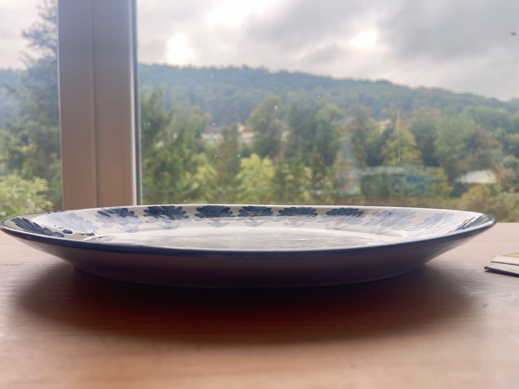 Servierplatten: Eine grosse Servier Platte oval Amerika Marke Stoneware & Co – Gebraucht aus Nussbaumen AG von HelenaDavid1910 4