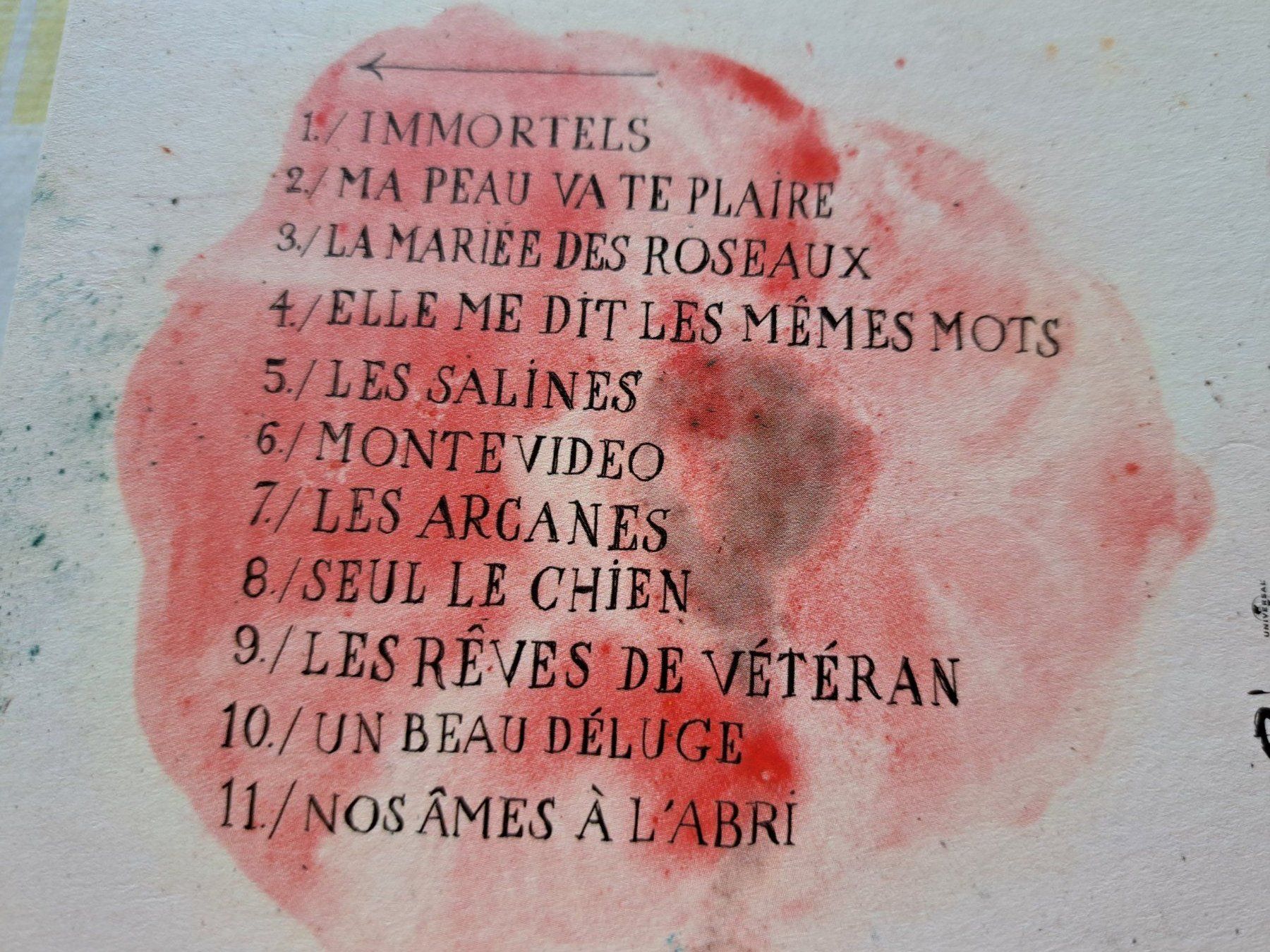 CDs: Cd Alain Bashung - En amont – D'occasion à Pully par bro_n52j 3
