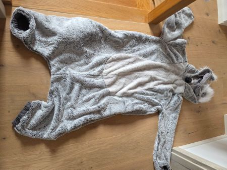 Koala Kostüm Unisex Erwachsene (1x getragen)