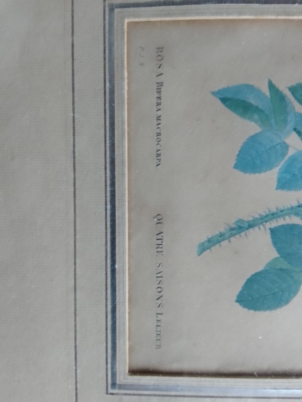 Incisioni: alter Stich nr.2 – Usato da Ebmatingen venduto da swiss.canadian 2
