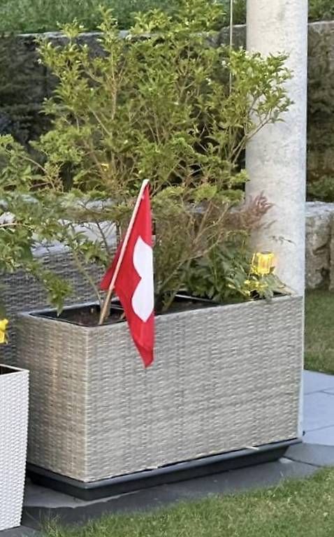 Pots de fleurs: Blumenkübel – D'occasion à Weiningen TG par BC-Aler-65 1