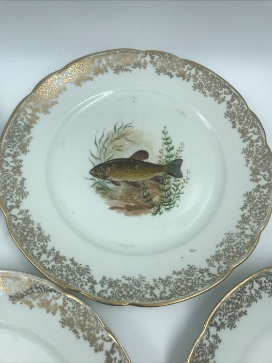 Grand Plat à Poisson En Porcelaine De Chauvigny - 56 Cm - Deshoulières 1980