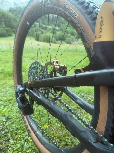 Specialized Velos: Specialized Levo SL SWorks – Gebraucht aus Leukerbad von bodmen5 5