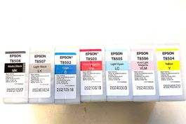 Tintenpatronen für Drucker Epson P800