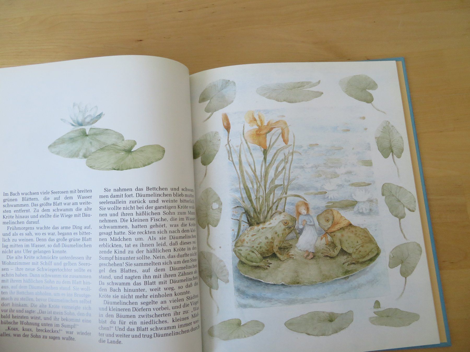 Libri: DÄUMELINCHEN Hans Christian Andersen – Usato da Zürich venduto da piroma 2