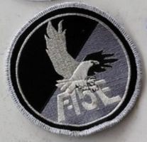 F-15E Aufnäher / Patch mit Adler - seltenes Sammlerstück!