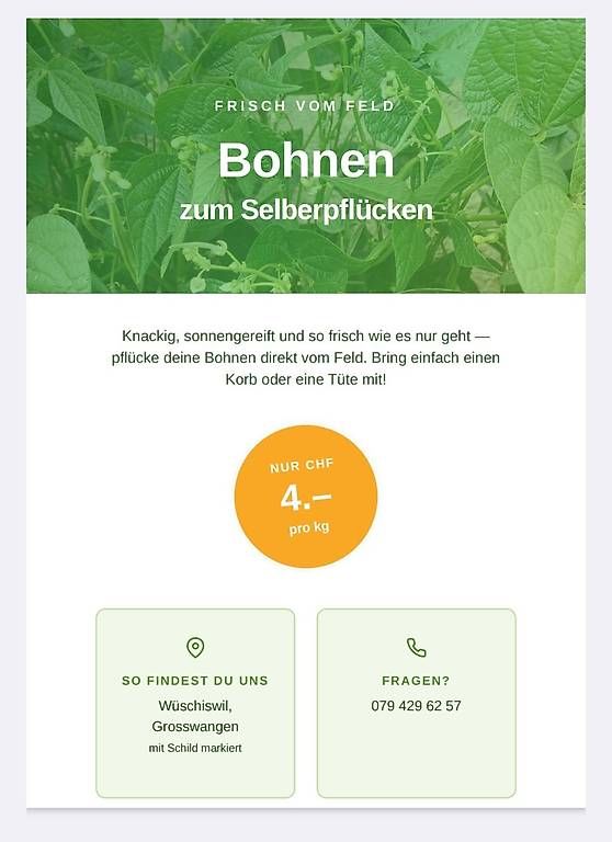 Lebensmittel & Spezialitäten: Bohnen zum Selberpflücken – Gebraucht aus Grosswangen von sugus012