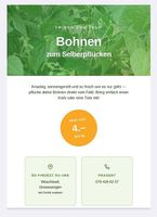Bohnen zum Selberpflücken