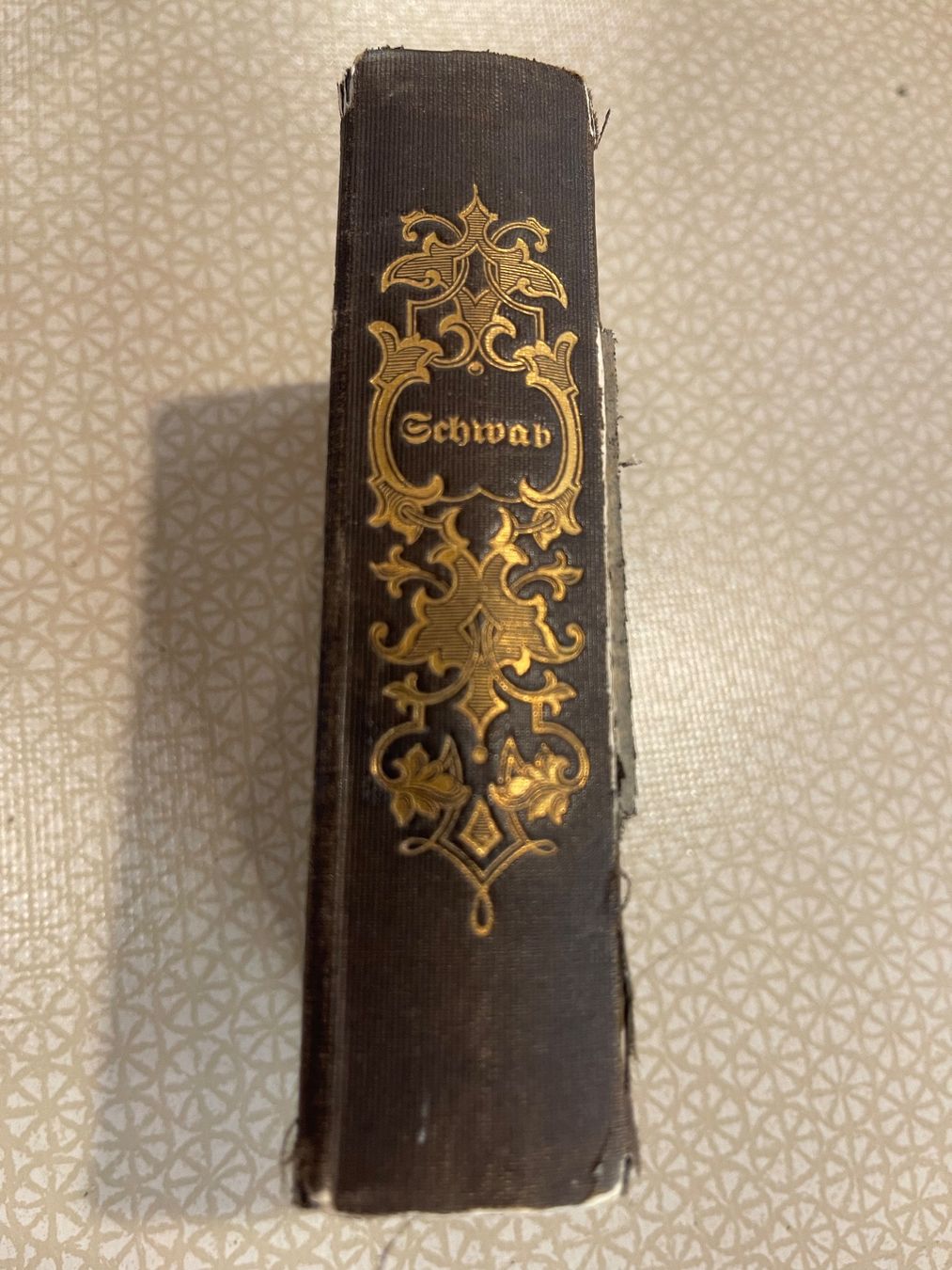 Libri: Buch - Gedichte von Gustav Schwab – Usato da Urnäsch venduto da pas_5r9c 1