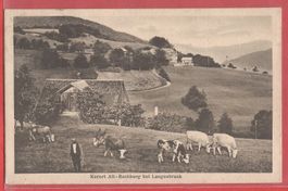 Alt-Bechburg - zw. Egerkingen SO und Langenbruck BL - 1922
