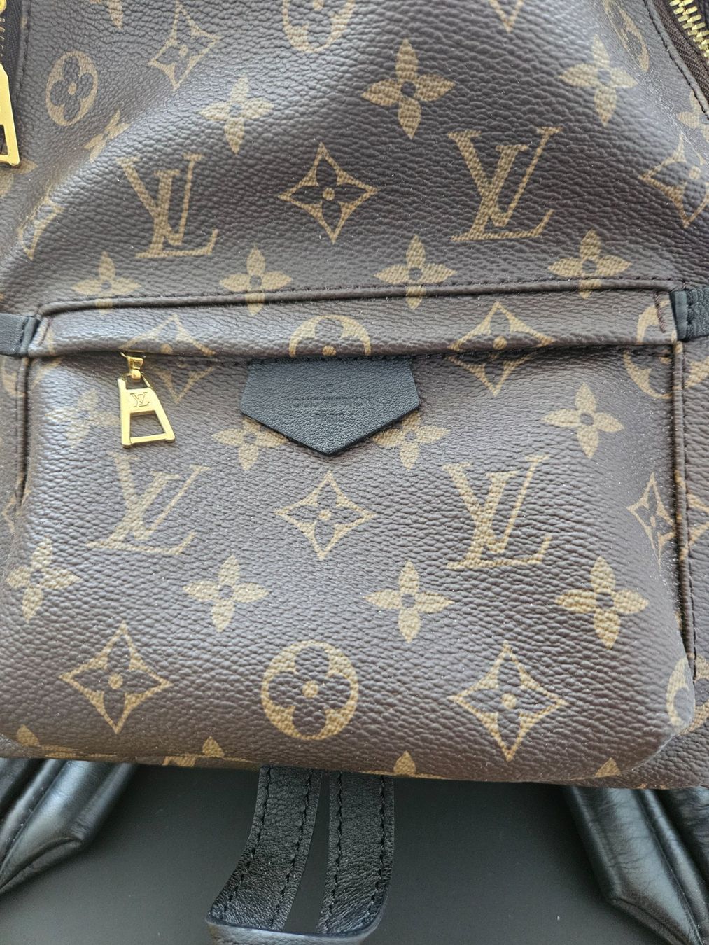 Louis Vuitton Zaini: Louis Vuitton Palm Springs Backpack MM – Usato da Wiesendangen venduto da Liquidshop 2