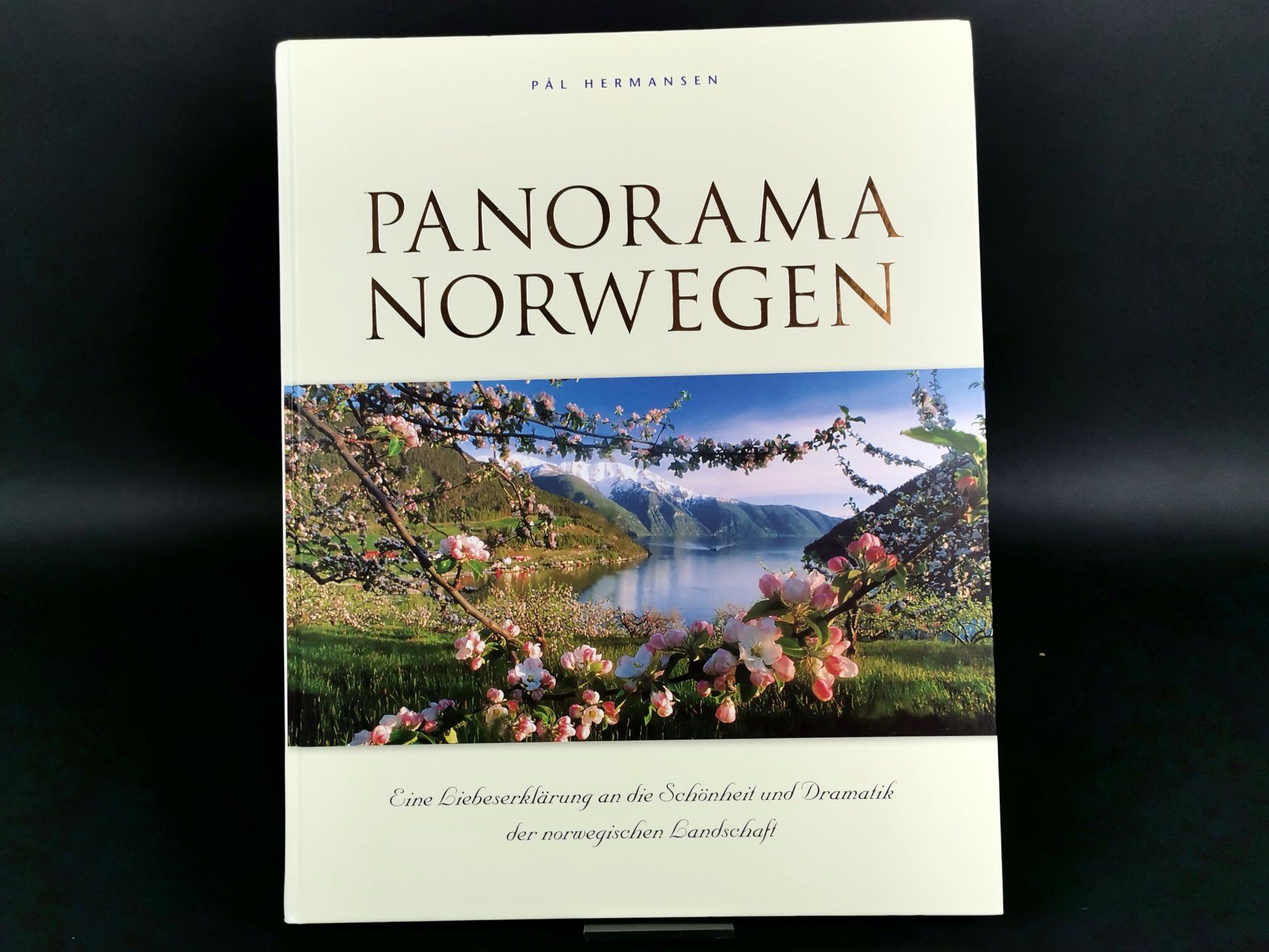 Libri: BUCH Panorama Norwegen – Usato da Schaffhausen venduto da Restwert_SH