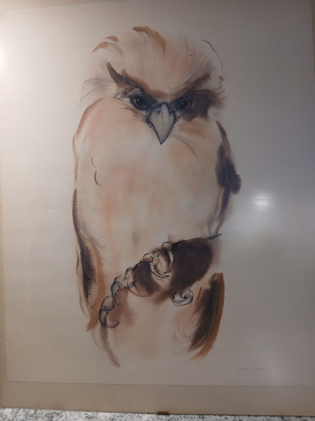 Gemälde: Aquarell Eule – Gebraucht aus Wald ZH von mar_5nsl