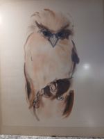 Aquarell Eule