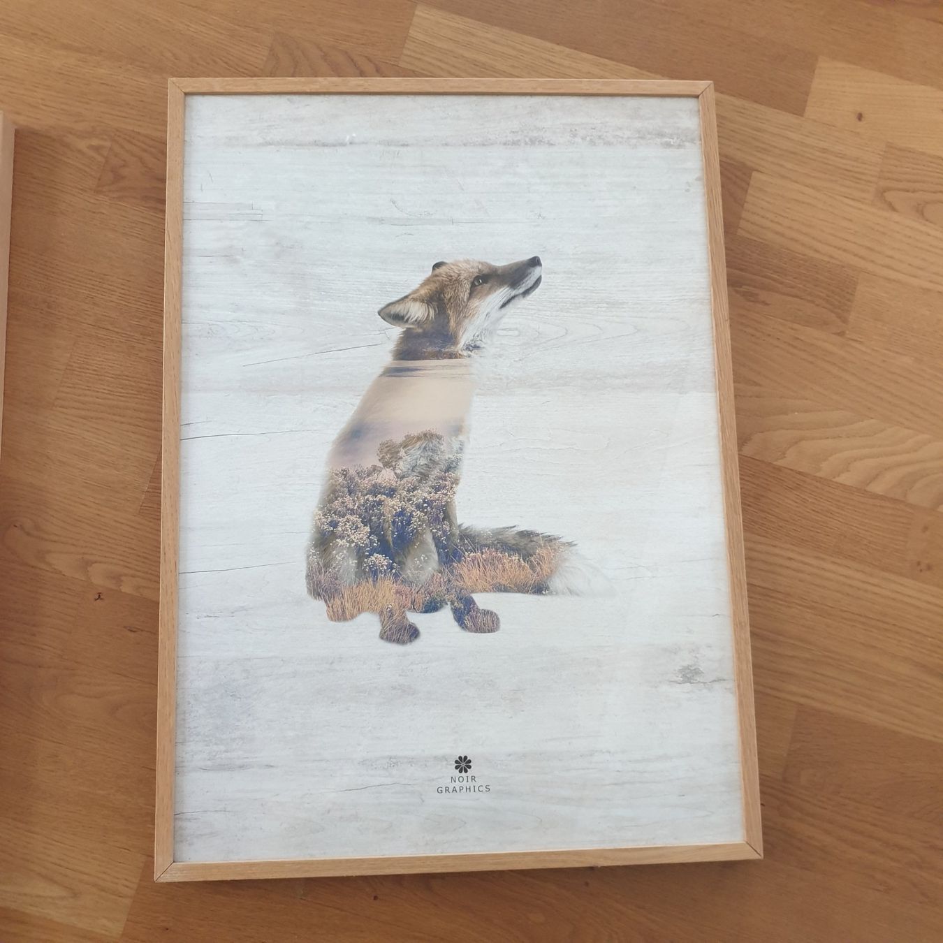 Foto & Immagini: Bilderduo Fuchs und Wolf 50x70cm, Rahmen Eichenholz – Usato da Rothenburg venduto da aki011 2