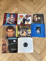 Schallplatten Sammlung