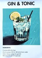 Gin & Tonic Poster Leinwandbild 30x40cm NEU (Rahmenlos)