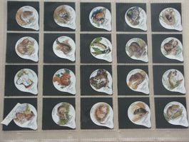Serie   7545        Nagetiere      AZM  Gastro