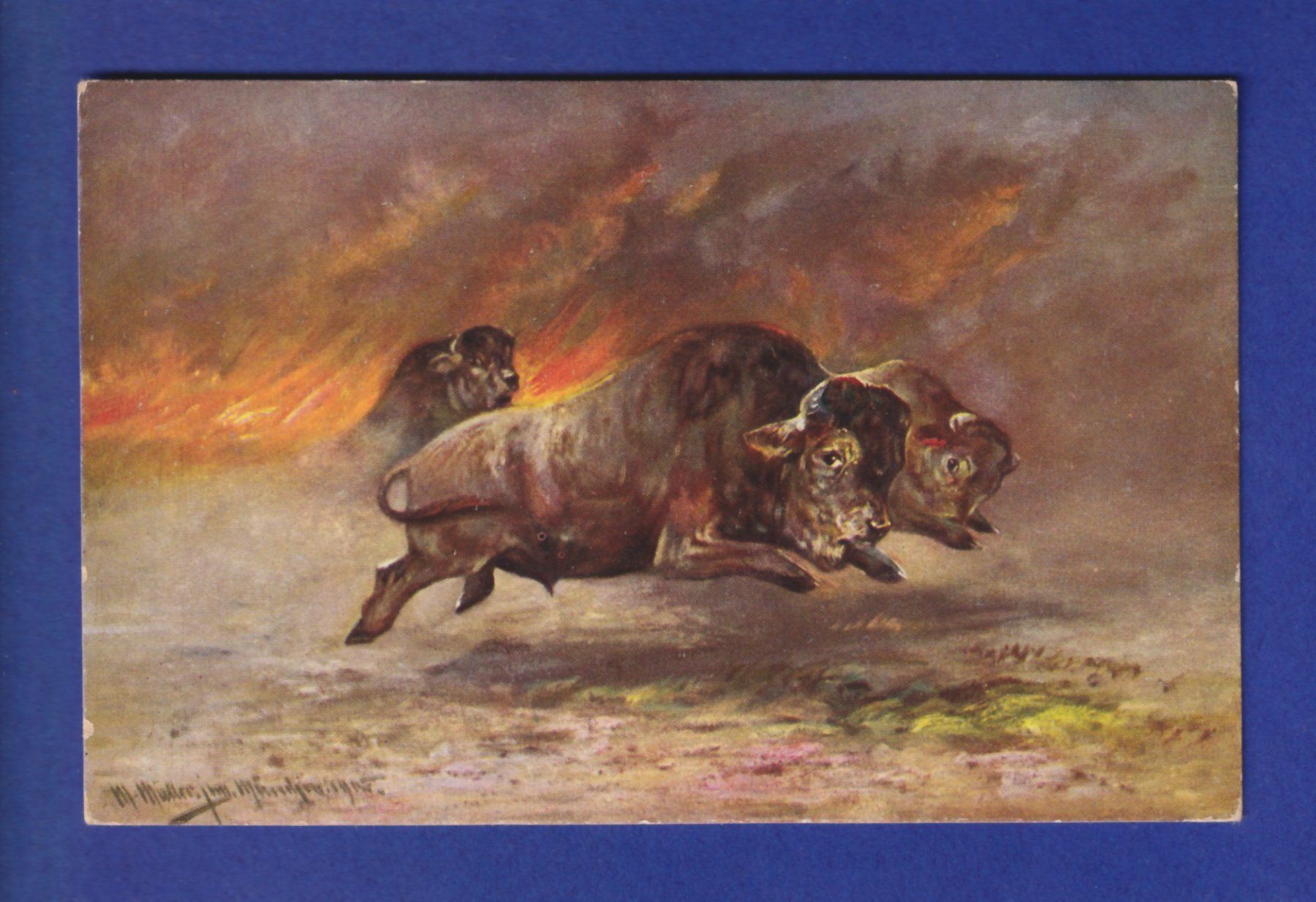 Ansichtskarten: BISON – Gebraucht aus Pully von nicecards-shop