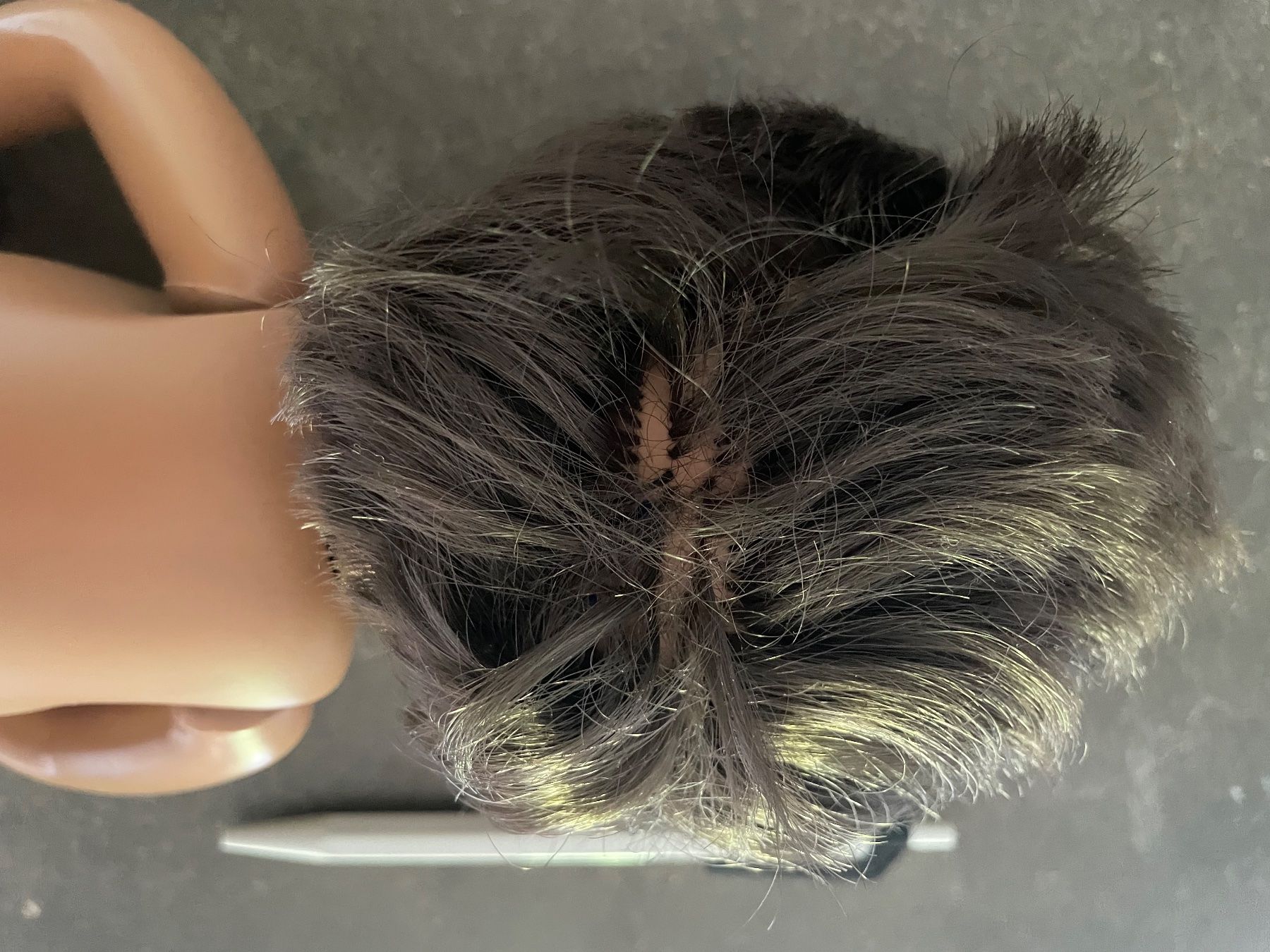 Sasha Morgenthaler Poupées: Sascha Bébé – D'occasion à Zürich par Robbe2 3