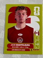 Panini Fifa Word Cup 2026 CAN 14