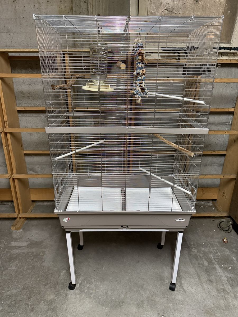 Gabbie, trasporto & Sicurezza: Cage à oiseaux grande taille avec accessoires bon état – Usato da Pully venduto da UCA01 3