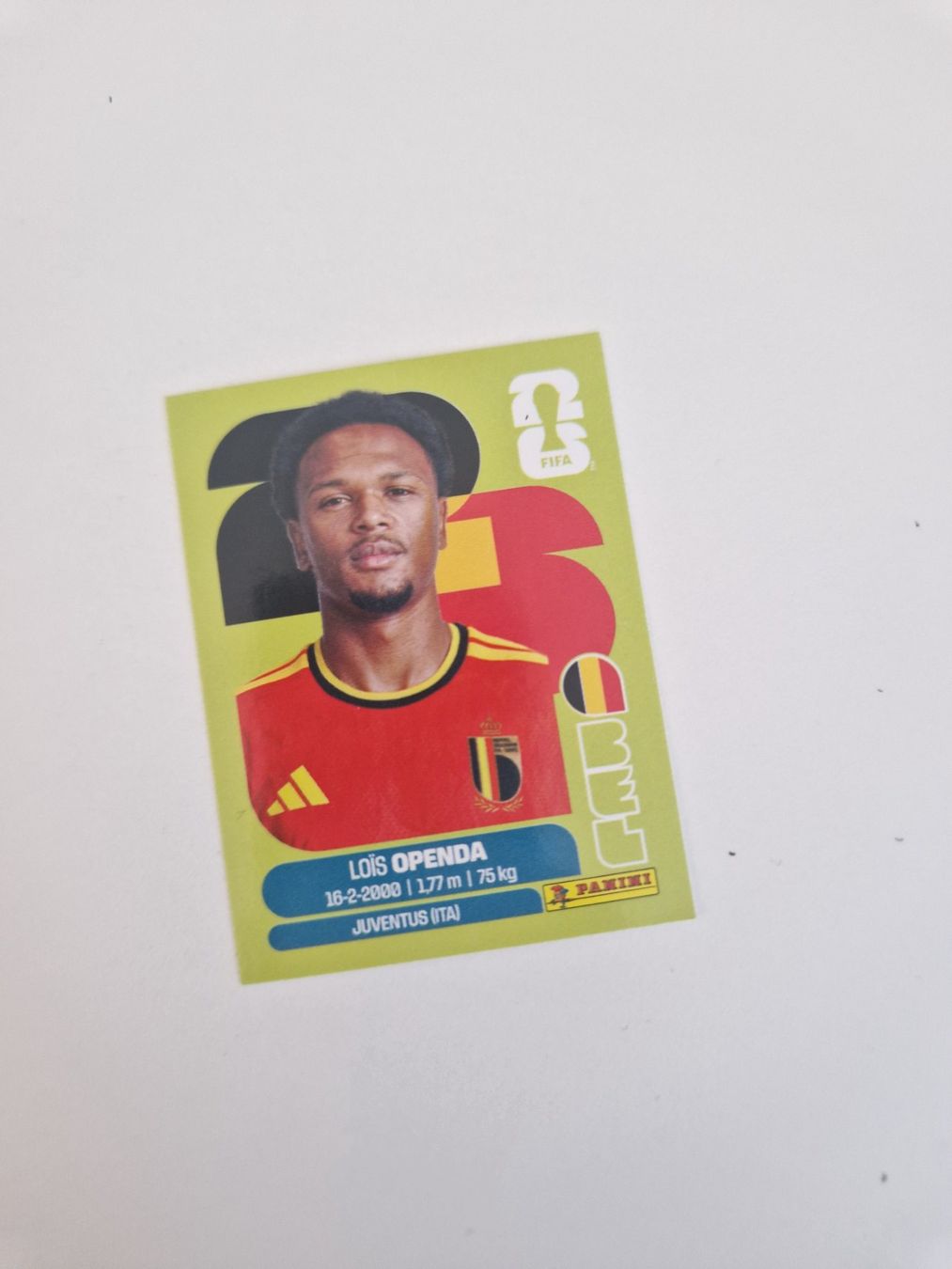 Panini Sammelbilder & Trading cards: Panini Sticker BEL19 – Neu (gemäss Beschreibung) aus Stüsslingen von white_angel86