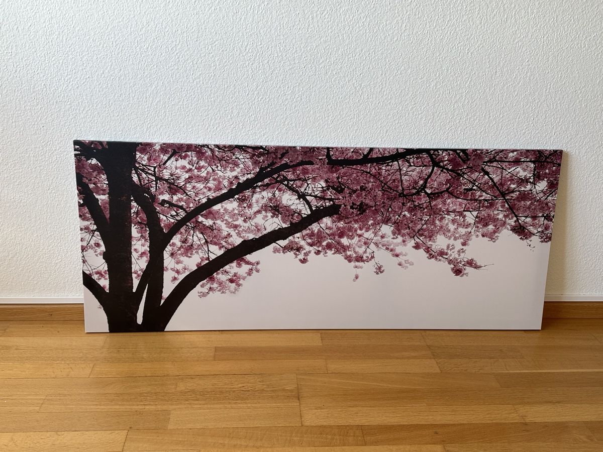Foto & Immagini: Bild – Usato da Basel venduto da edi_p2bd