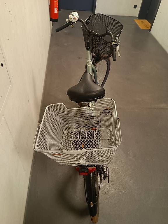 Biciclette: Damenfahrrad – Usato da Baden venduto da cyrill690 2