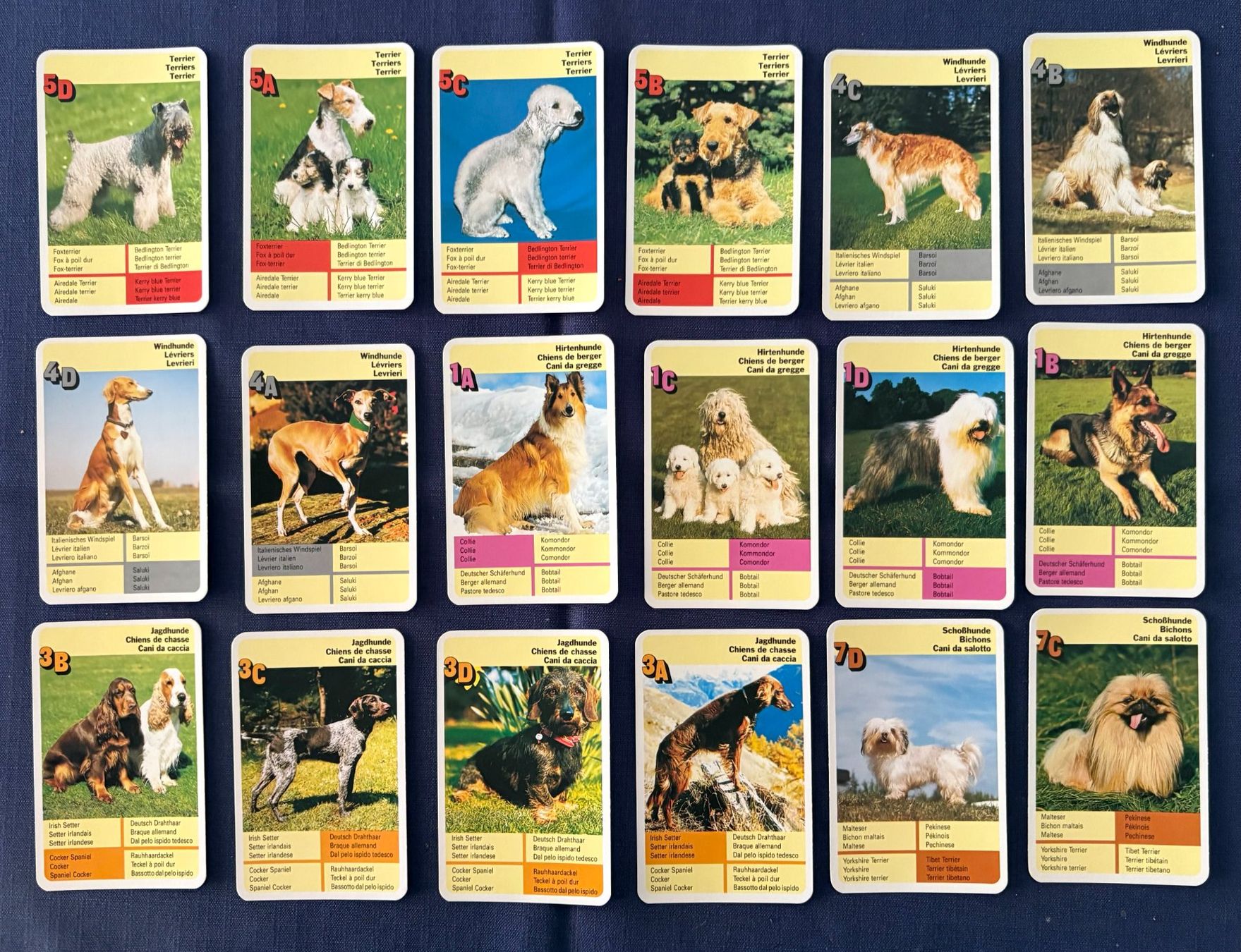 Jeux: QUARTETT HUNDE – D'occasion à Ostermundigen par wini63 1