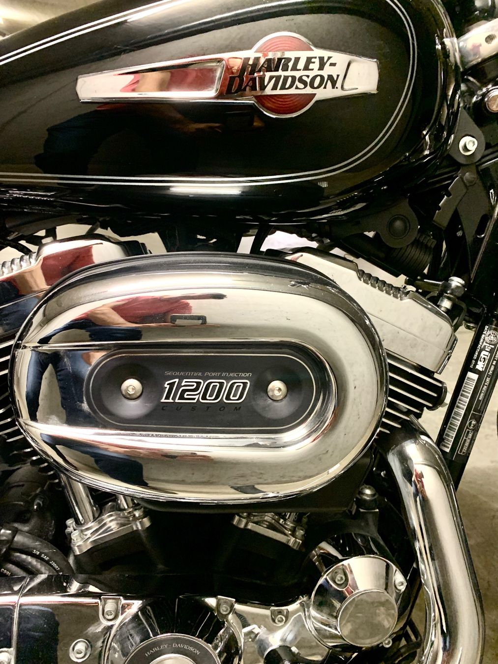 Harley-Davidson Chopper: HARLEY SPORTSTER 1200 C ABS – Usato da Erlenbach ZH venduto da Benjamin_1 2