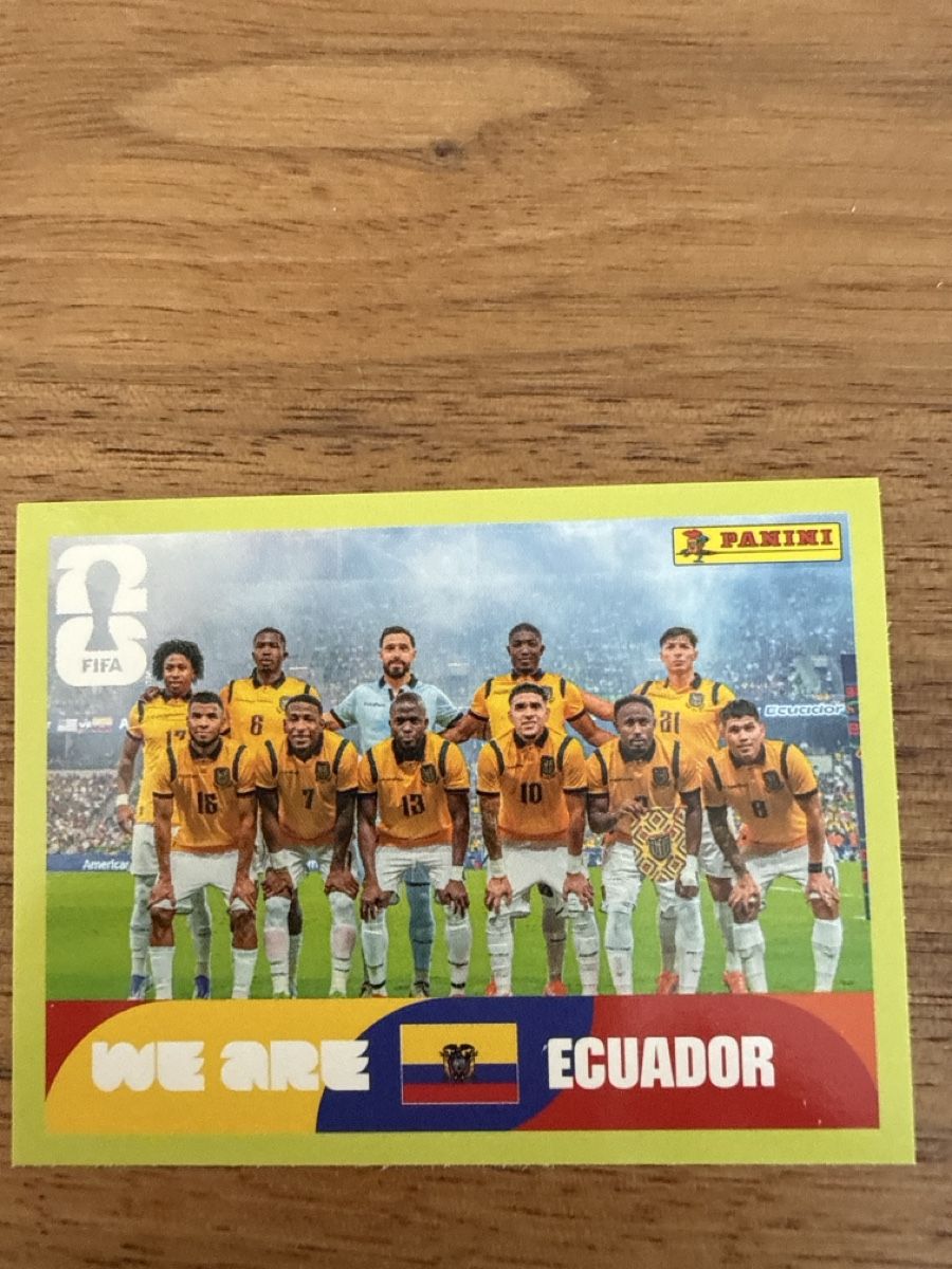 Panini Sammelbilder & Trading cards: Panini Fifa ECU 13 – Neu (gemäss Beschreibung) aus Allschwil von Japollo