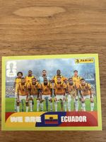 Panini Fifa ECU 13